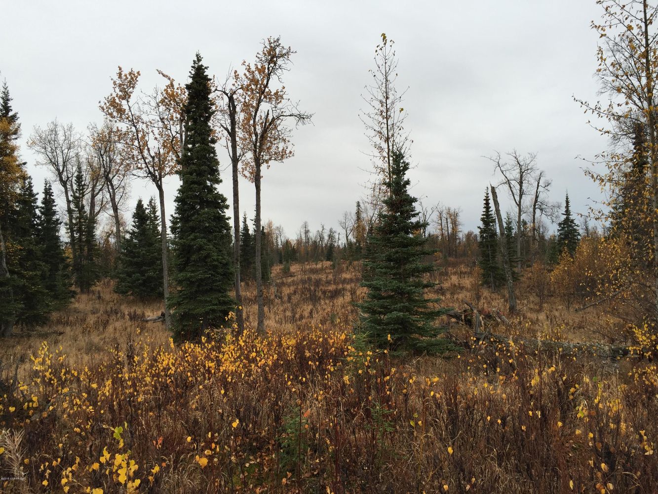 63885 Tailwind Rd, Ninilchik, AK 99639